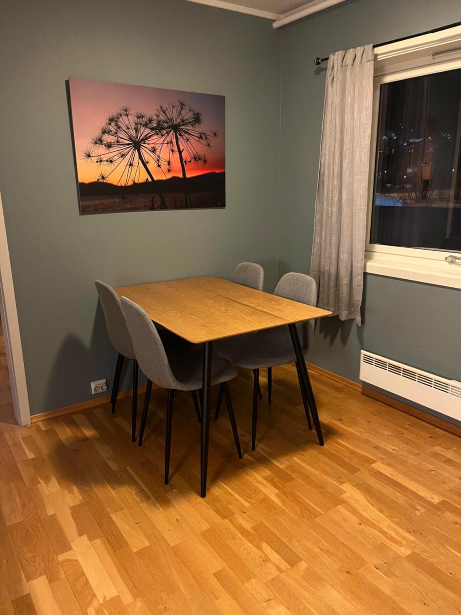 Fantastisk Utsikt! Gratis Parkering Tromso Exterior photo